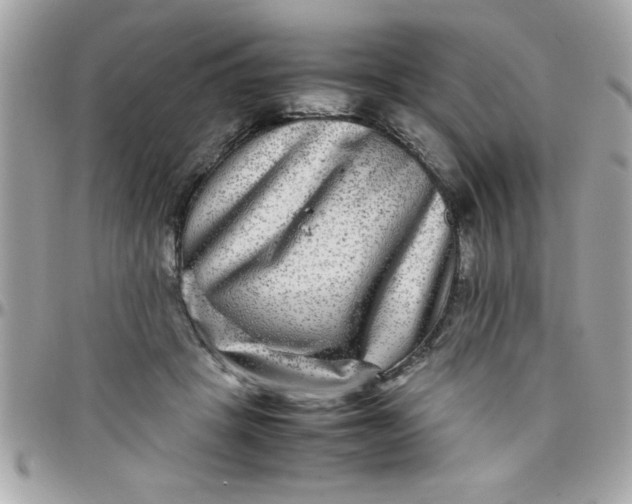 X0000097780457200803211803