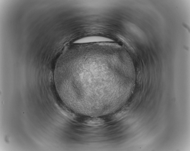 X0000097780459200803211803