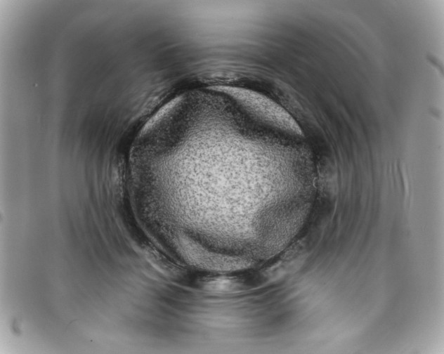 X0000097780460200803211803