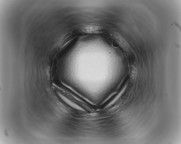 X0000097780461200803211803