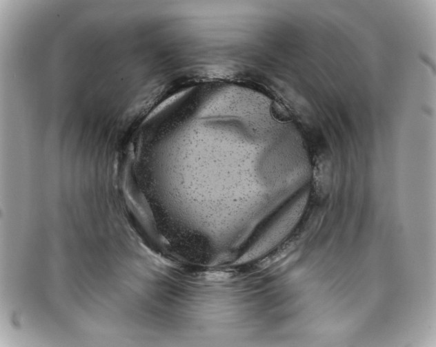 X0000097780462200803211803