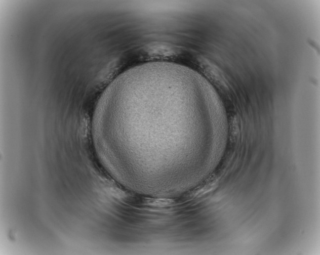 X0000097780463200803211803