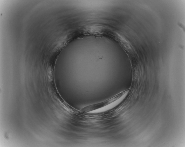 X0000097780465200803211803