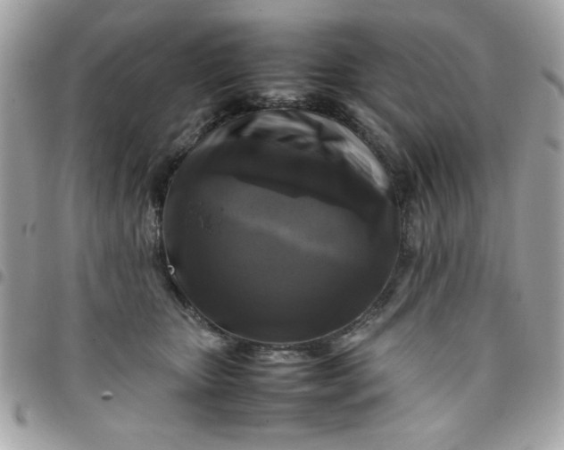 X0000097780467200803211803