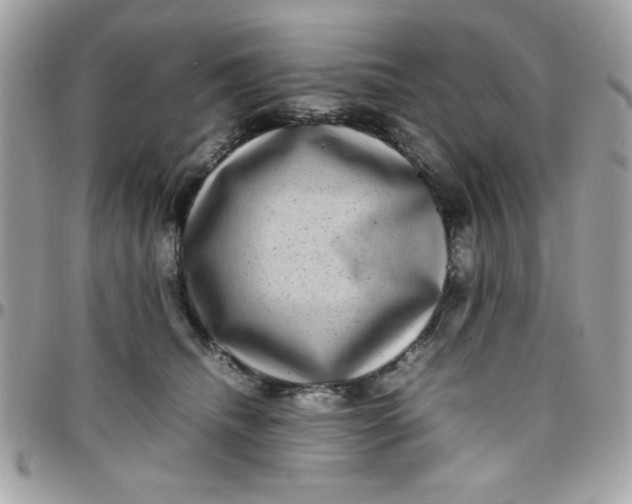 X0000097780468200803211803