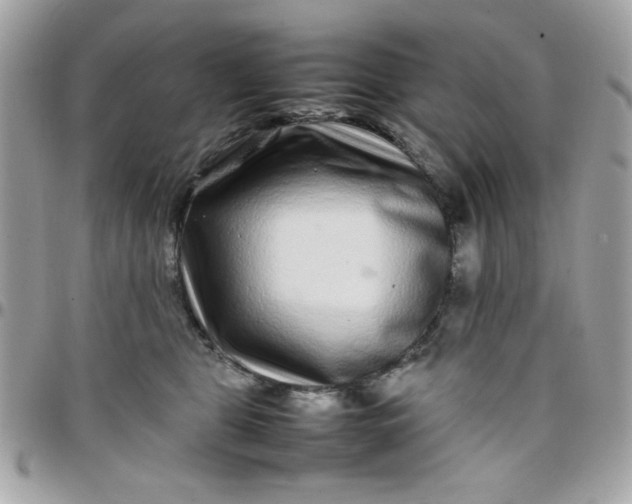 X0000097780469200803211803