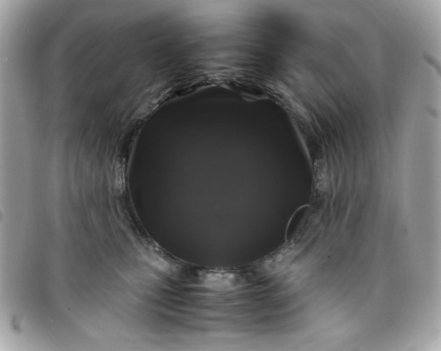 X0000097780471200803211803