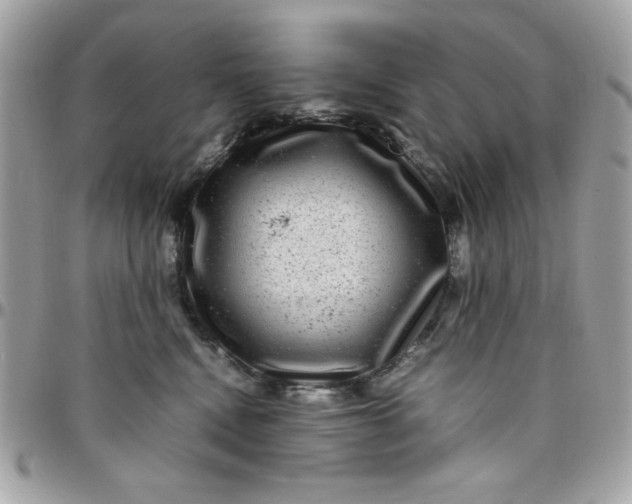 X0000097780472200803211803