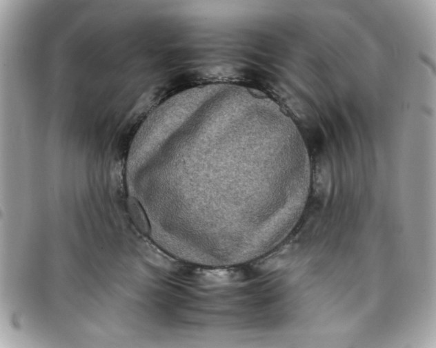 X0000097780473200803211803