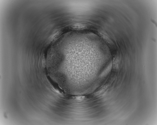 X0000097780474200803211803