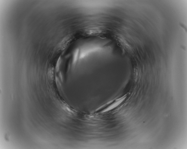 X0000097780475200803211803