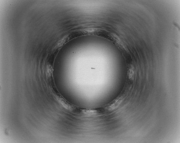 X0000097780476200803211803