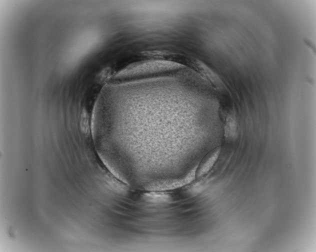 X0000097780477200803211803