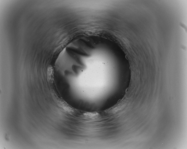 X0000097780480200803211803