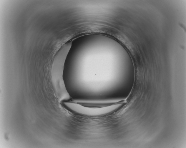 X0000097780481200803211802