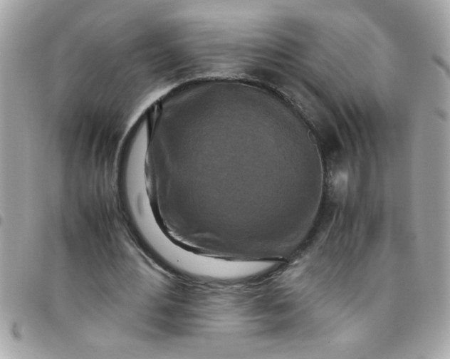 X0000097780484200803211802