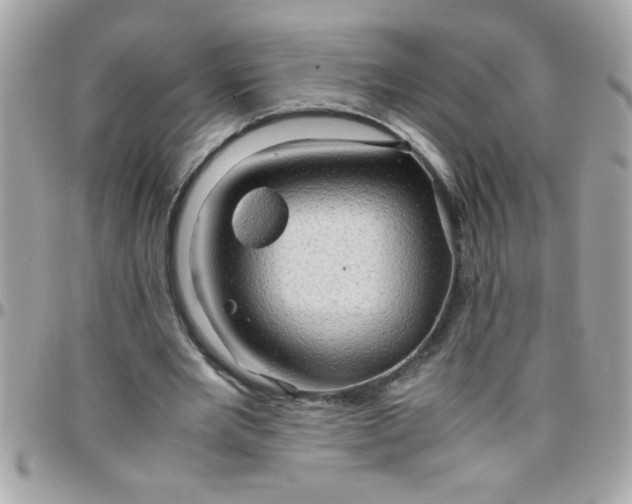 X0000097780485200803211802