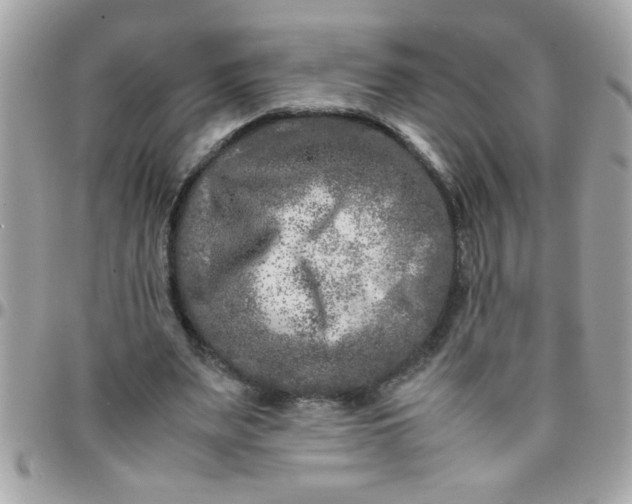 X0000097780487200803211802