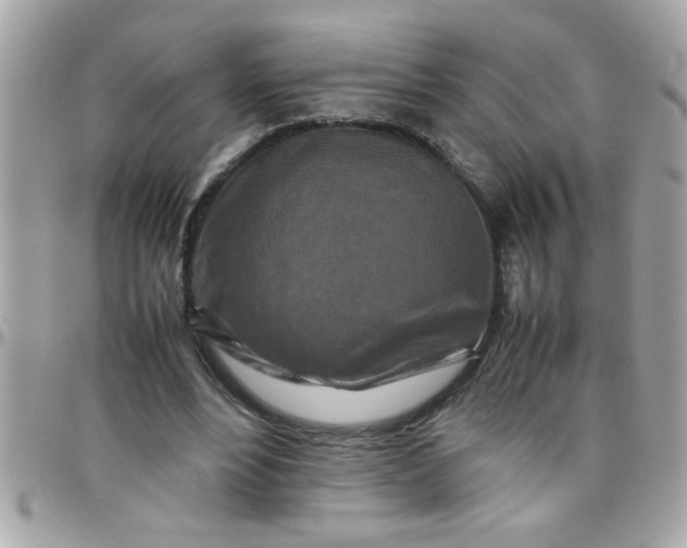 X0000097780488200803211802