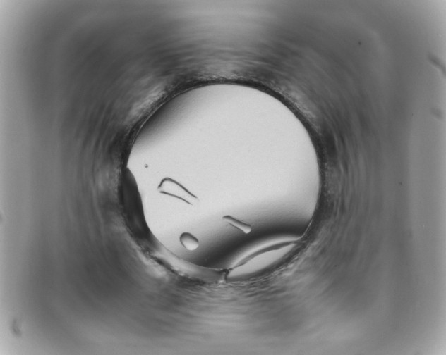 X0000097780489200803211802