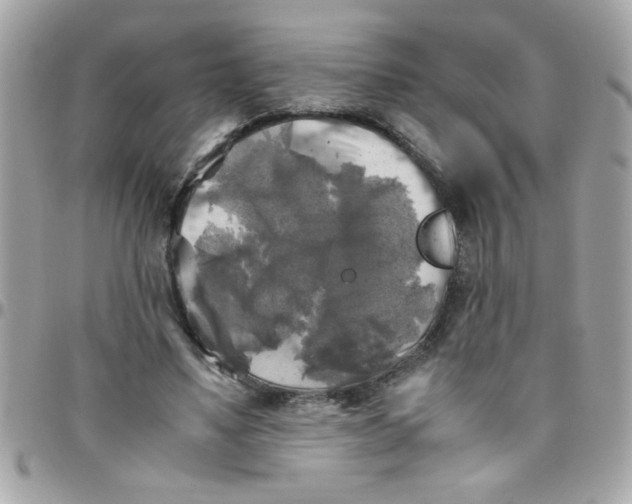 X0000097780491200803211802