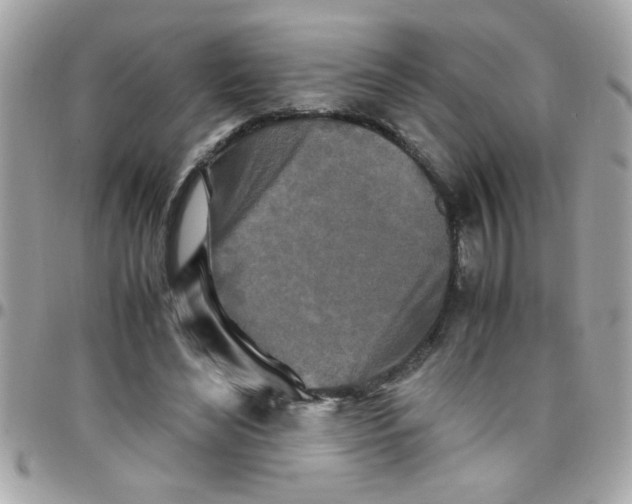 X0000097780492200803211802