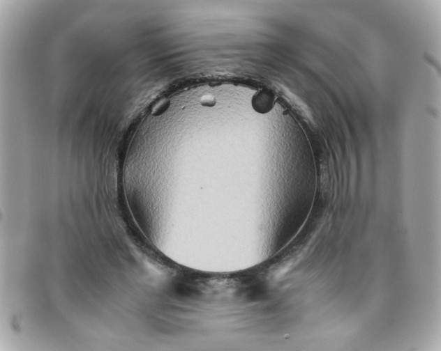 X0000097780493200803211802