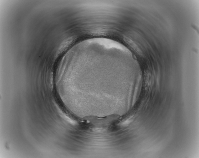 X0000097780494200803211802