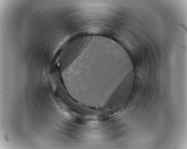 X0000097780496200803211802