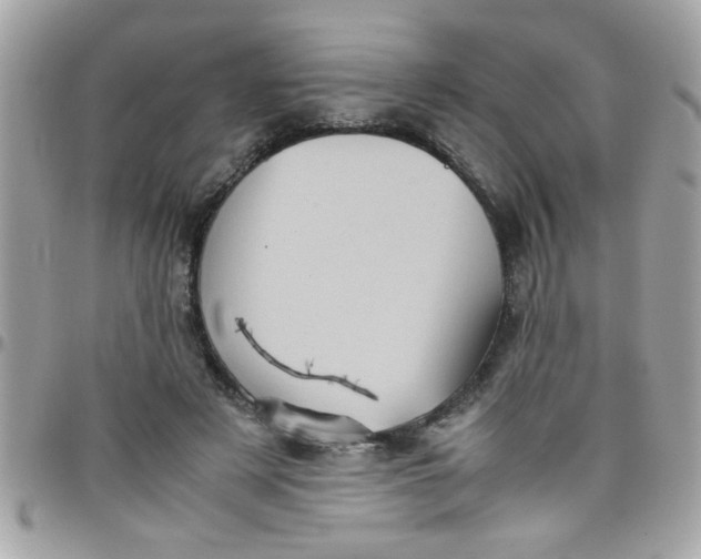 X0000097780497200803211802