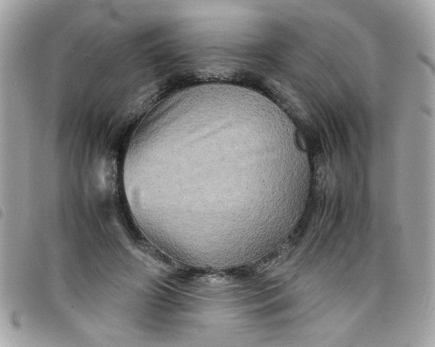 X0000097780498200803211802