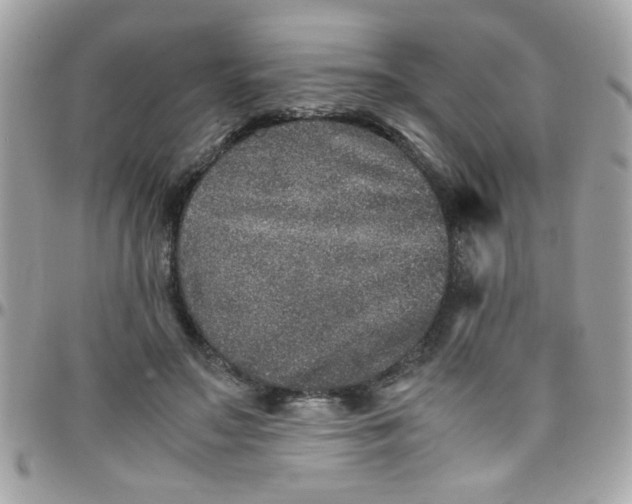 X0000097780499200803211802