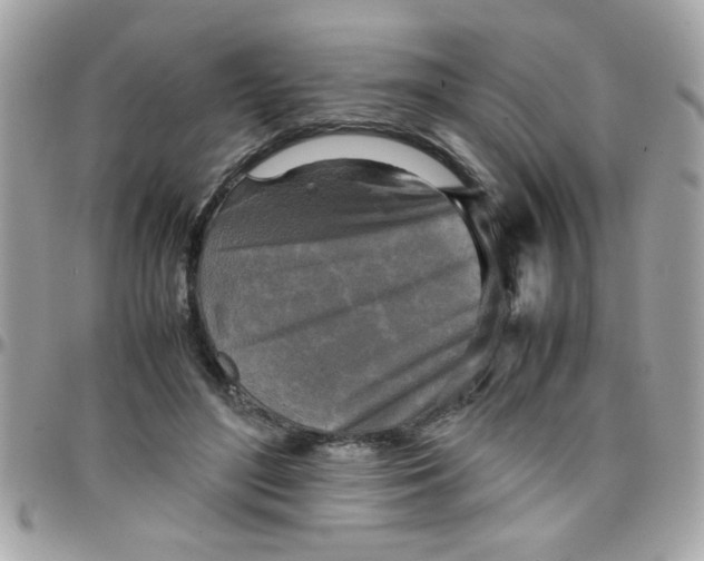 X0000097780500200803211802