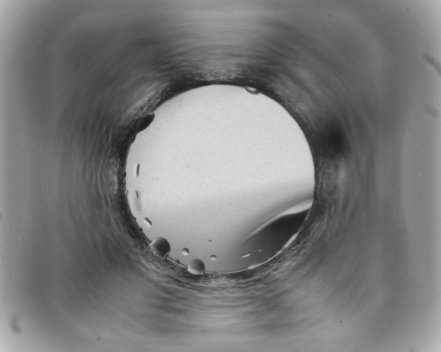 X0000097780501200803211802