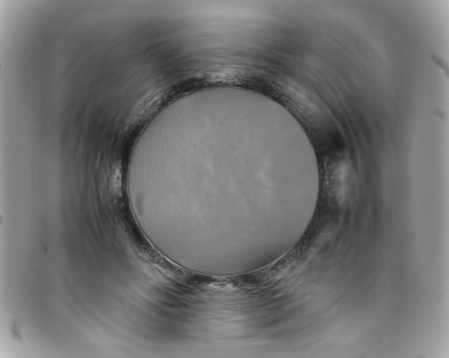 X0000097780502200803211802