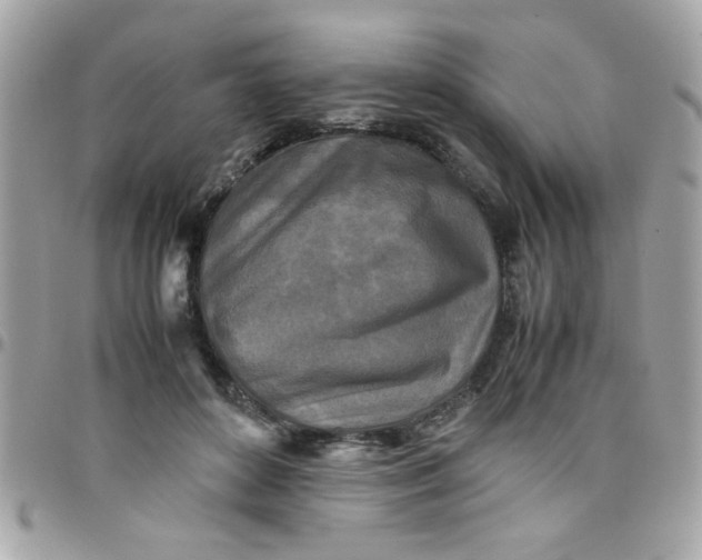 X0000097780504200803211802