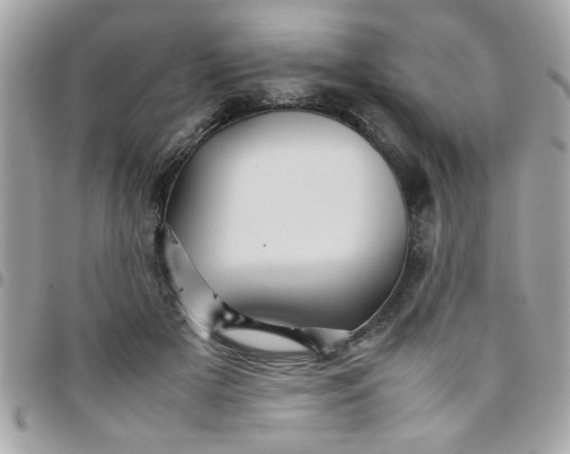 X0000097780505200803211802