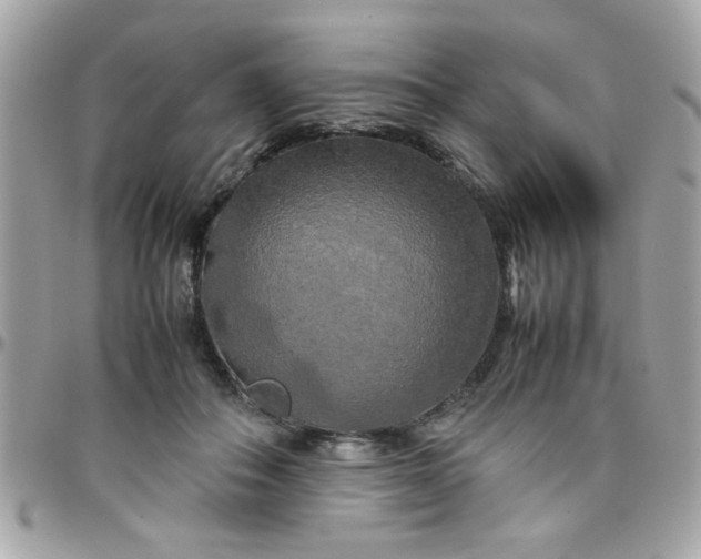 X0000097780506200803211802