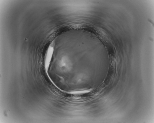 X0000097780507200803211802