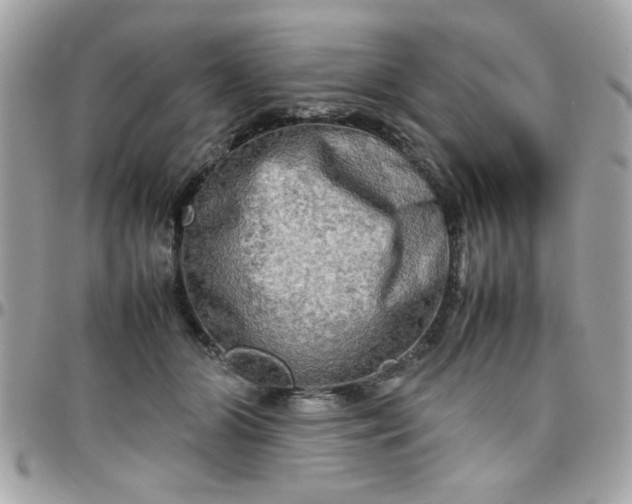 X0000097780510200803211802