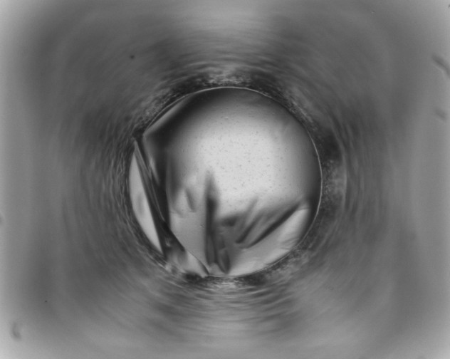 X0000097780513200803211802