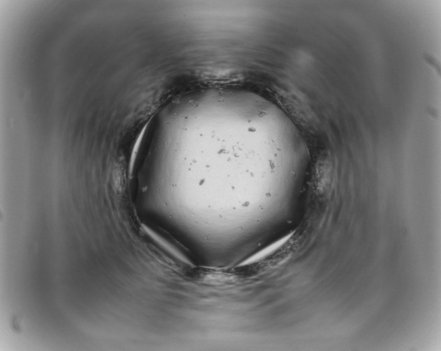 X0000097780515200803211802