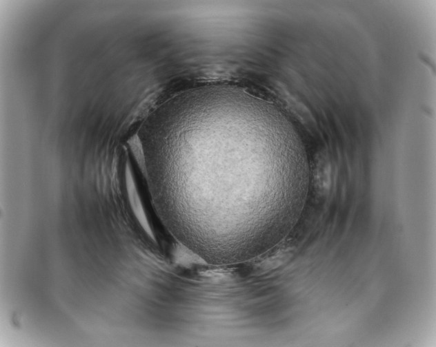 X0000097780516200803211802