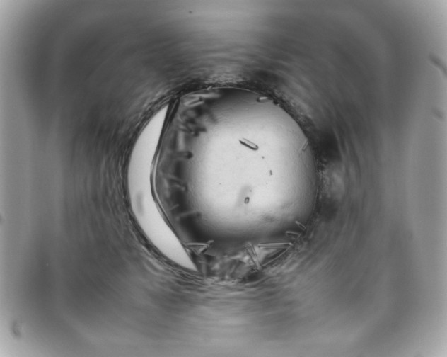 X0000097780517200803211802