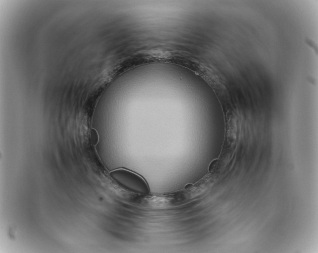 X0000097780518200803211802