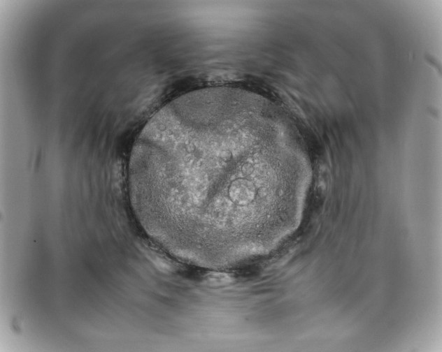 X0000097780519200803211802