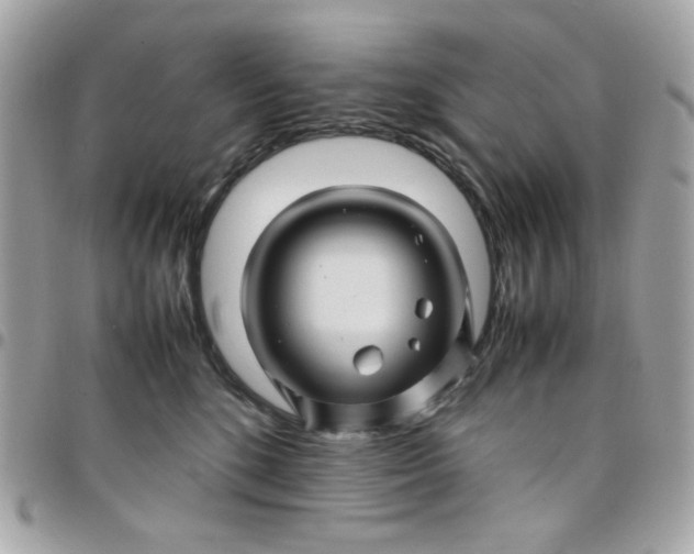 X0000097780520200803211802