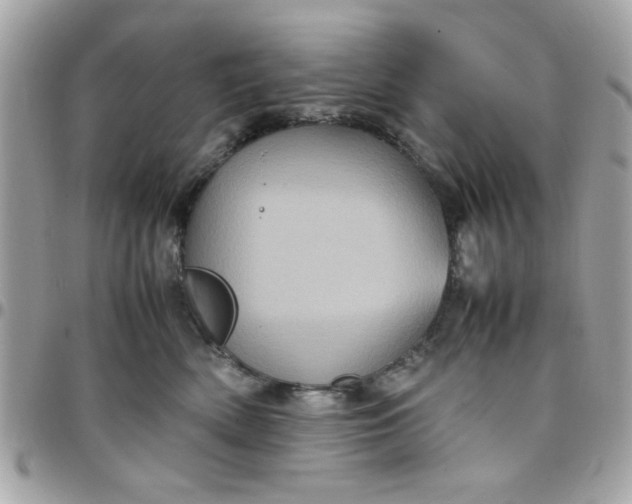 X0000097780522200803211801