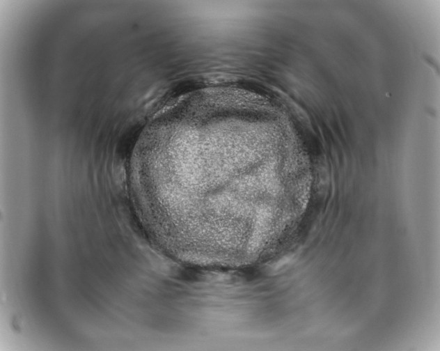 X0000097780523200803211801