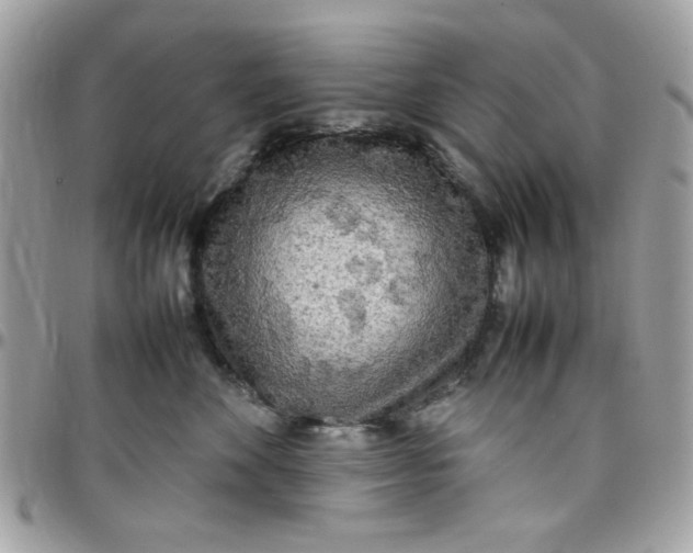 X0000097780524200803211801